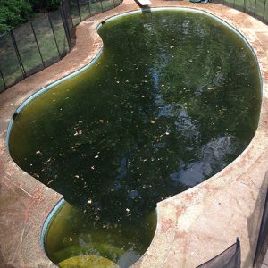 remove iron pool stains