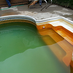 Green Pool Water From Iron - Look at those steps!