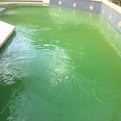 Green Pool Water
