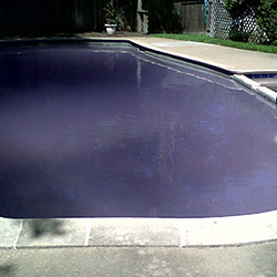 Purple Pool Water