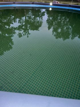 Clear Green Pool Before Treatment with Periodic Products' Metal Stain Eliminator Kit