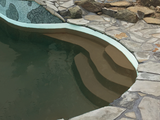 Clear Brown Pool Water Before Treatment