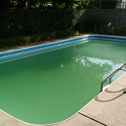 Cloudy Green Pool Water Fix