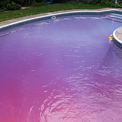 Cloudy Purple Pool Water DIY