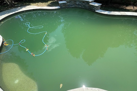 Help! I have cloudy green pool water.
