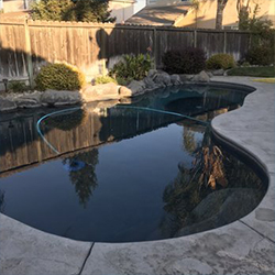 Clear Black Pool Water DIY Removal