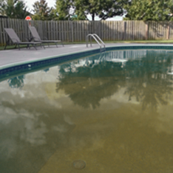 Clear Brown Pool Water