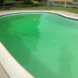 Clear Green Pool Water Example